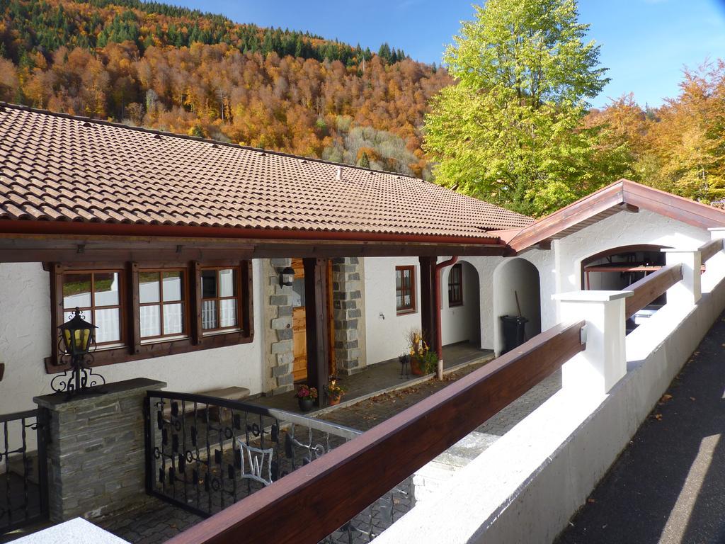 Haus Zur Eule Apartment Todtnau Cameră foto