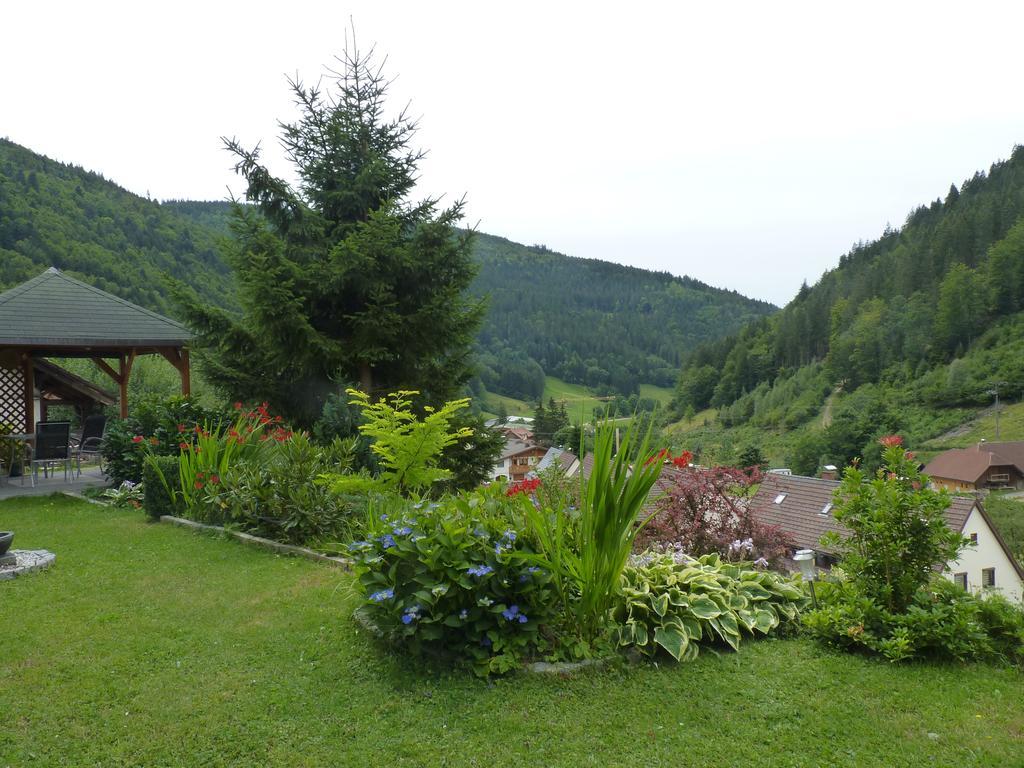 Haus Zur Eule Apartment Todtnau Cameră foto