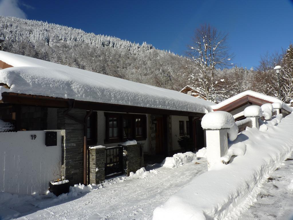 Haus Zur Eule Apartment Todtnau Cameră foto